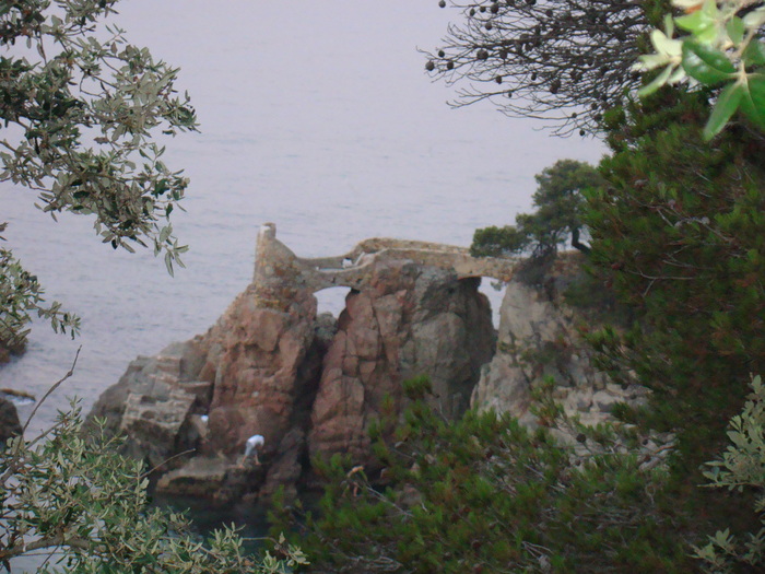DSC06552