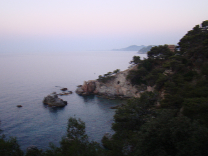 DSC06554