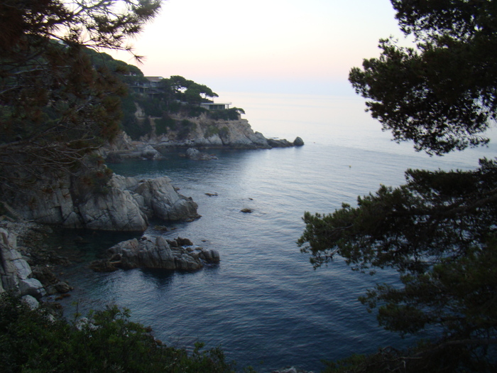 DSC06568