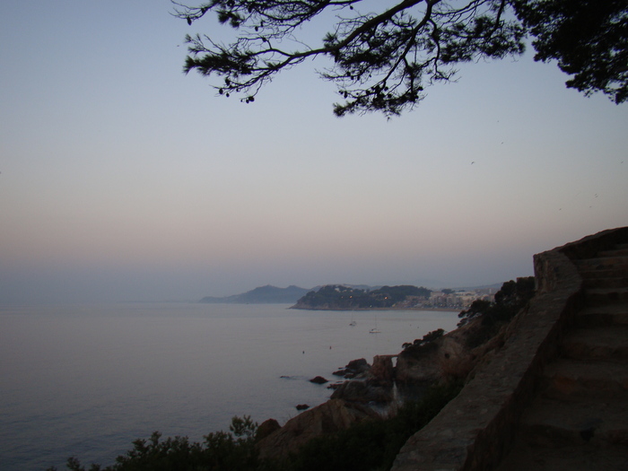 DSC06569