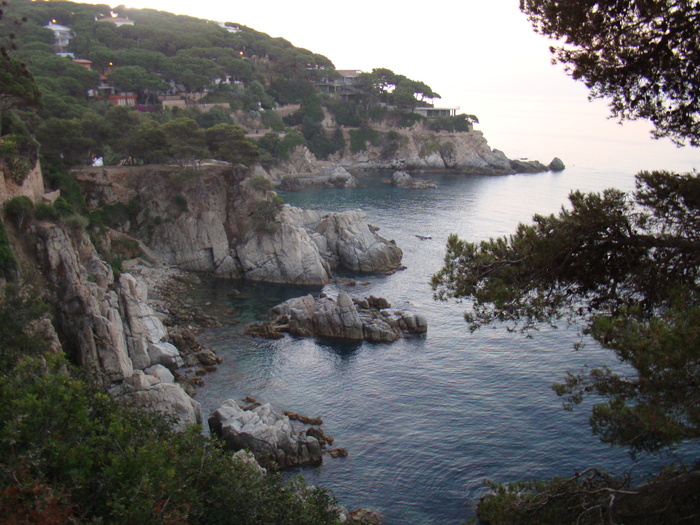 DSC06571