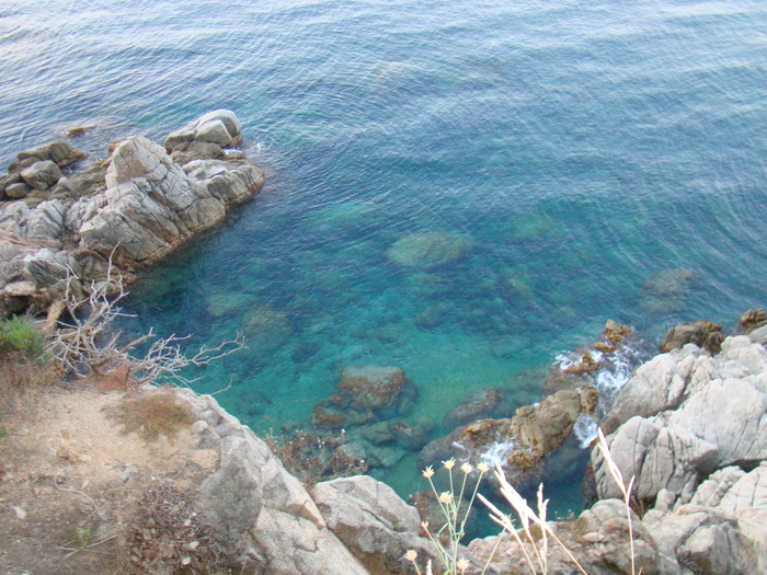 DSC06583 - Vacanta iulie 2010 Loret de Mar