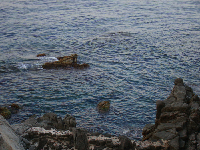DSC06598 - Vacanta iulie 2010 Loret de Mar
