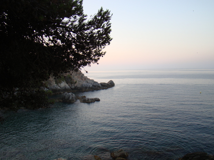 DSC06600 - Vacanta iulie 2010 Loret de Mar