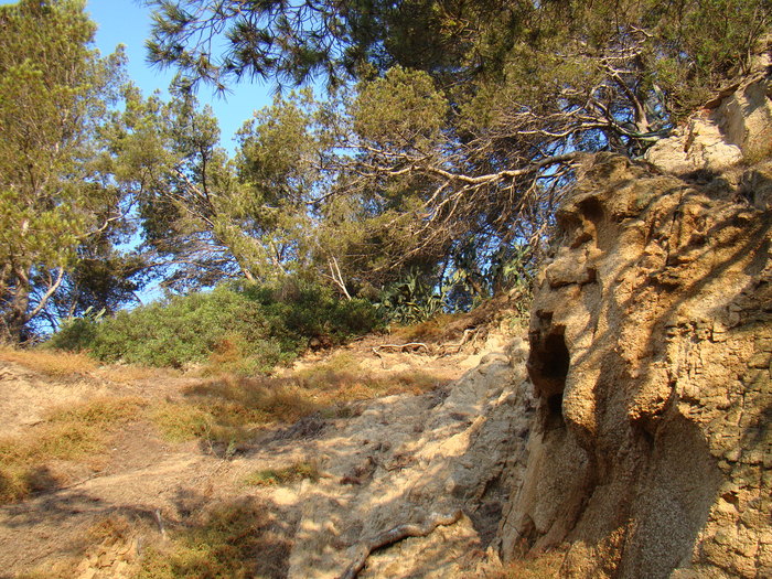 DSC06635 - Vacanta iulie 2010 Loret de Mar
