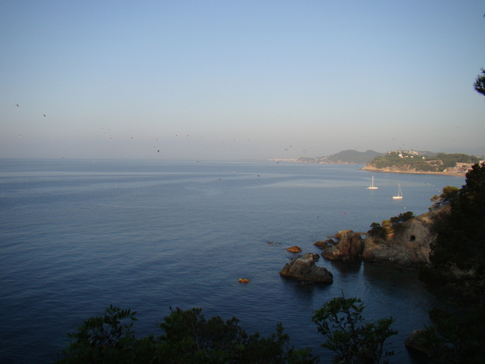 DSC06641 - Vacanta iulie 2010 Loret de Mar