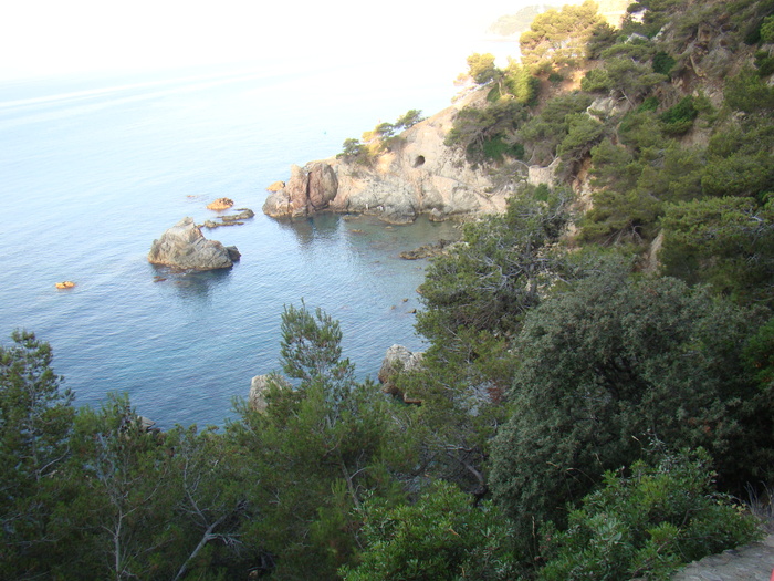 DSC06646 - Vacanta iulie 2010 Loret de Mar