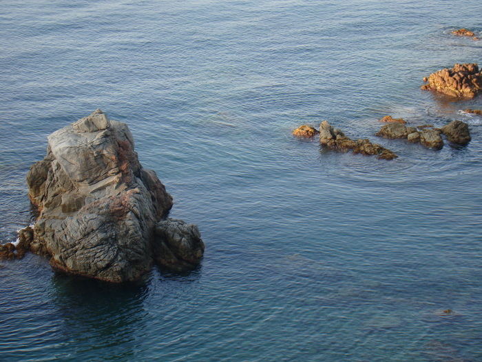 DSC06649 - Vacanta iulie 2010 Loret de Mar