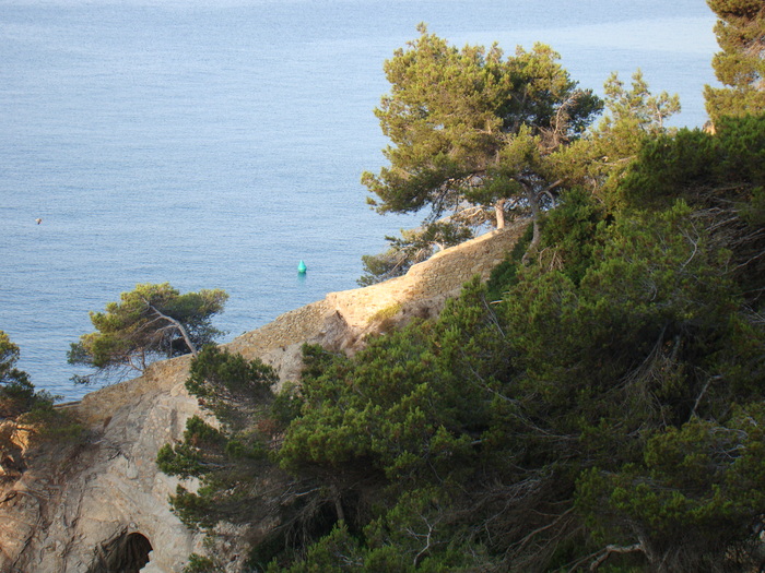 DSC06650 - Vacanta iulie 2010 Loret de Mar