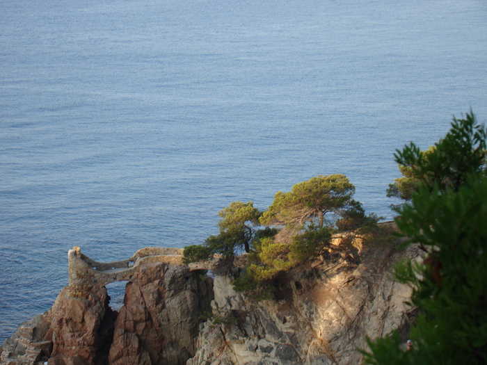DSC06651 - Vacanta iulie 2010 Loret de Mar