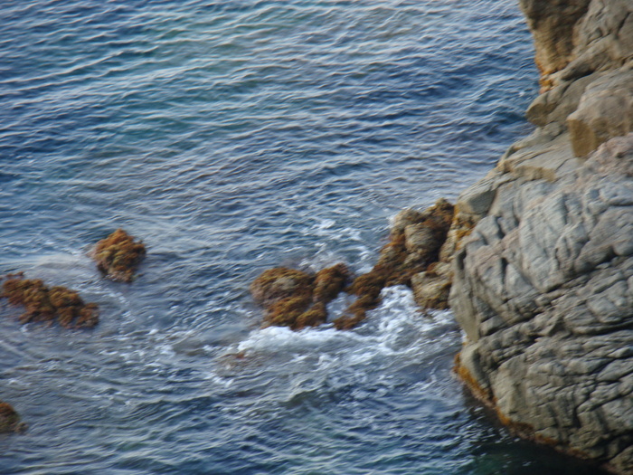 DSC06653
