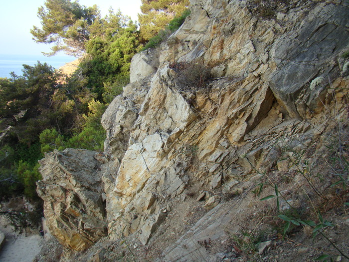DSC06672 - Vacanta iulie 2010 Loret de Mar