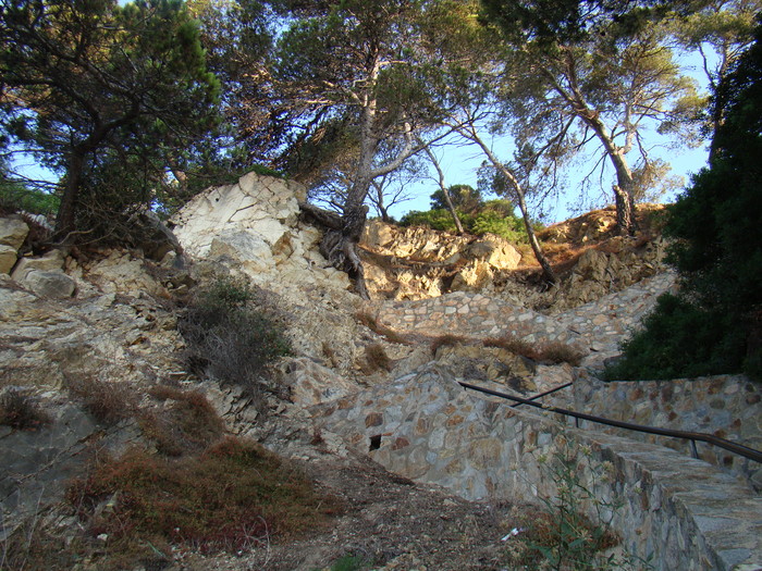 DSC06676 - Vacanta iulie 2010 Loret de Mar