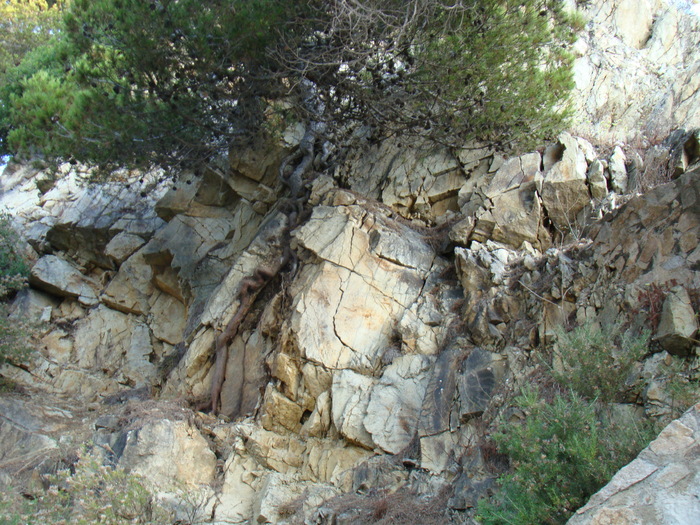 DSC06683