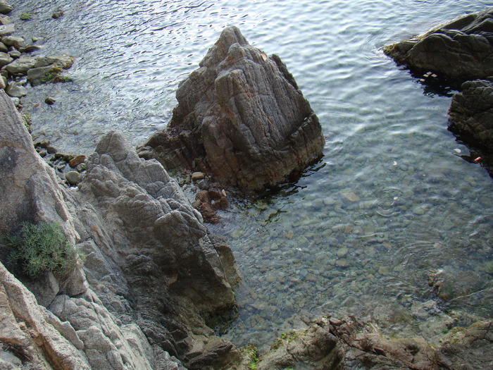 DSC06689