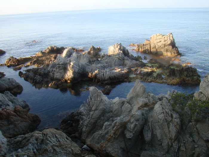 DSC06703