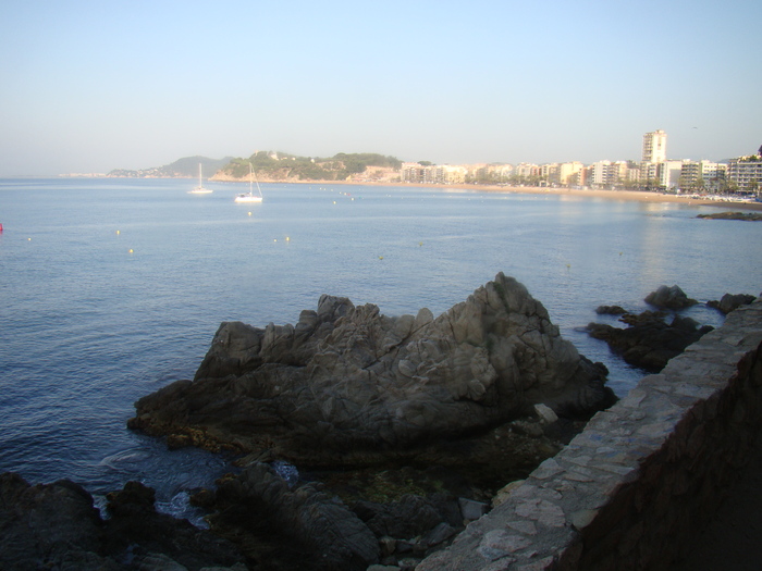 DSC06704