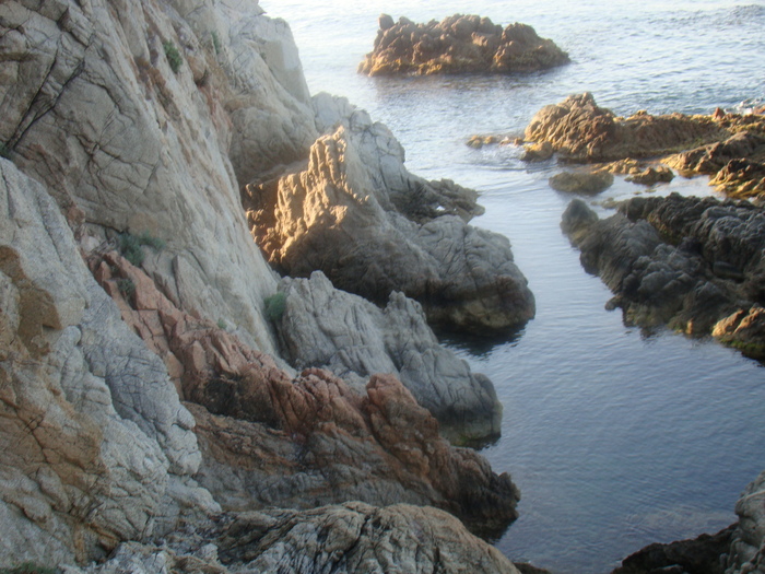 DSC06707