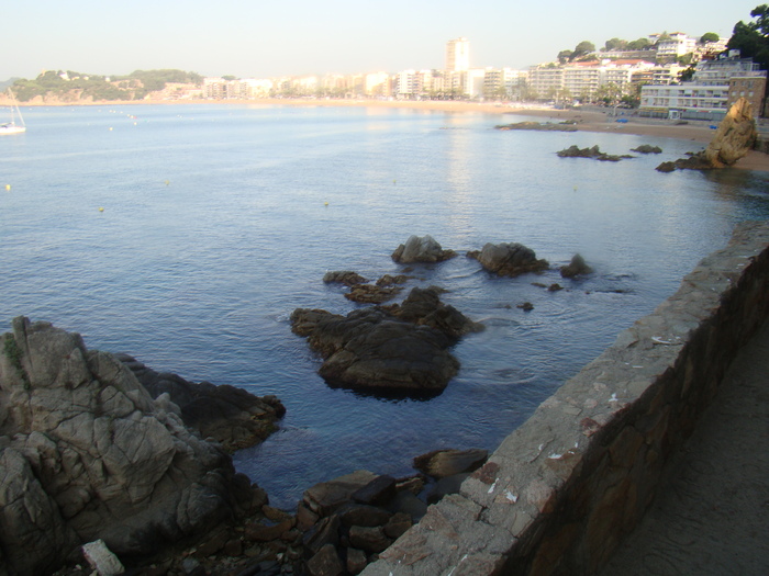 DSC06710