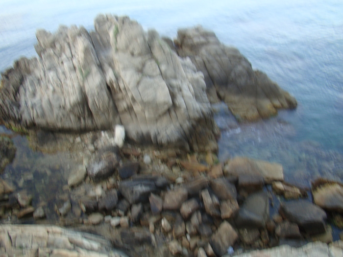 DSC06711