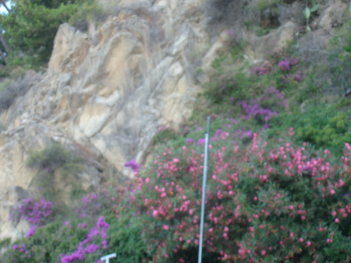 DSC06739