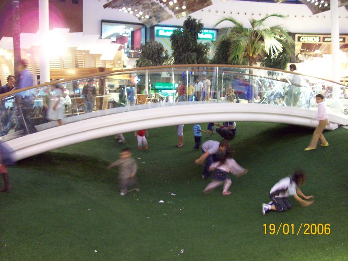 100_1800 - 2008 un mall de vis