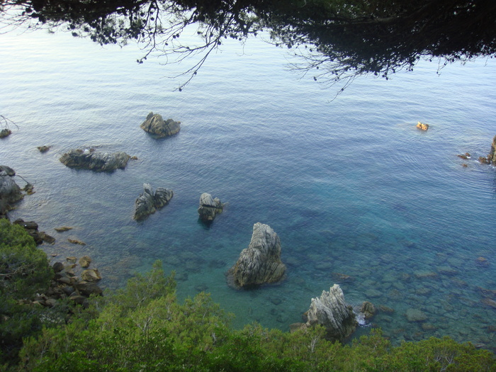 DSC09930