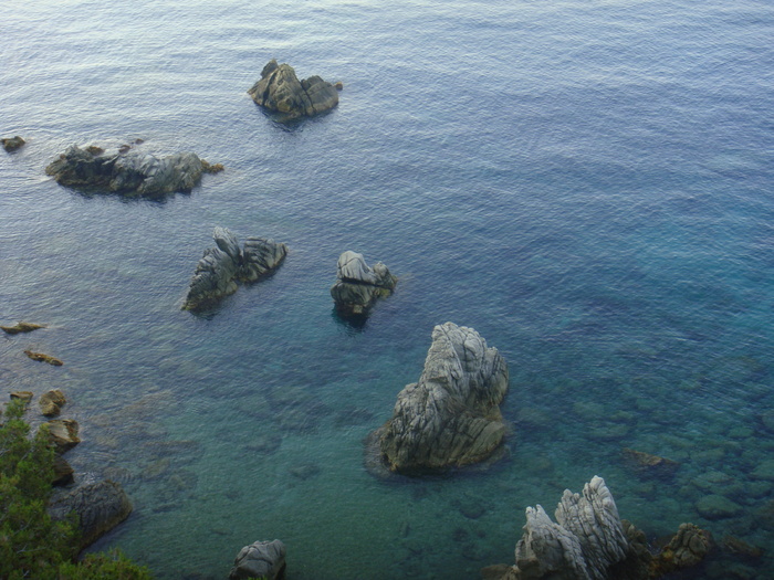 DSC09935