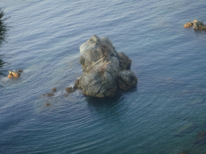 DSC09938