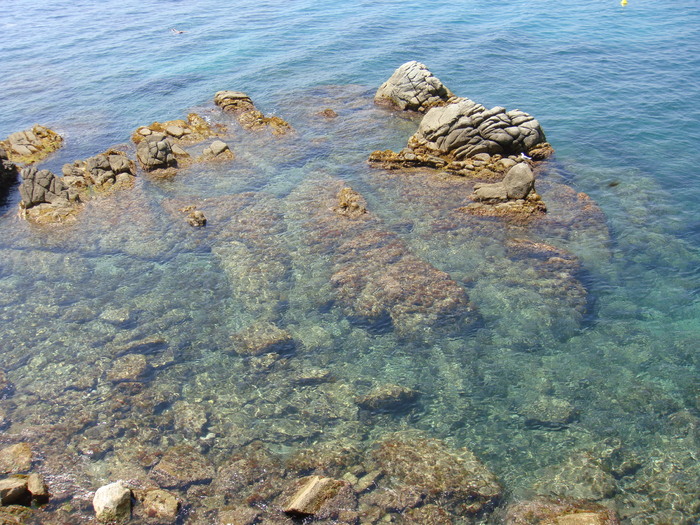 DSC09793