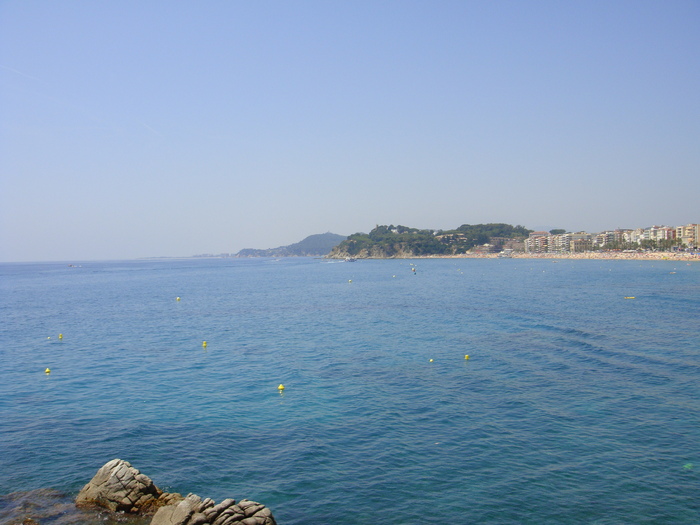 DSC09794