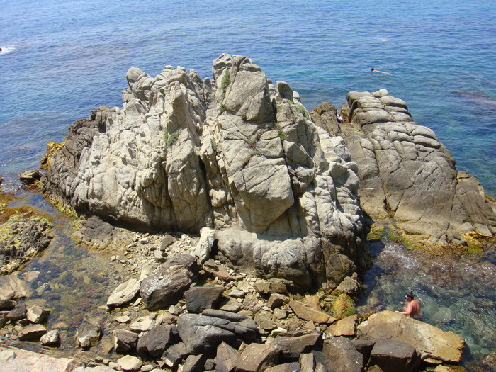 DSC09798