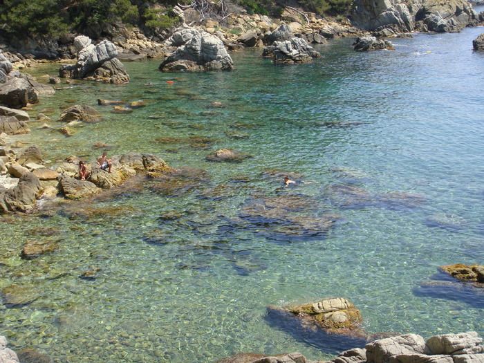 DSC09799