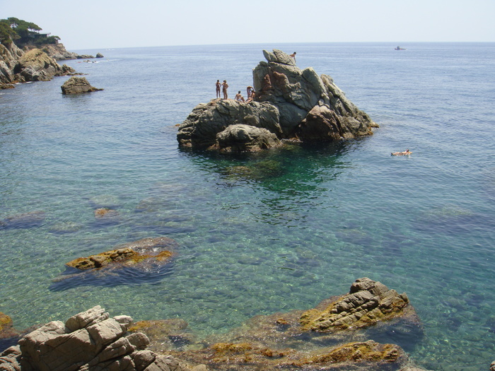 DSC09800