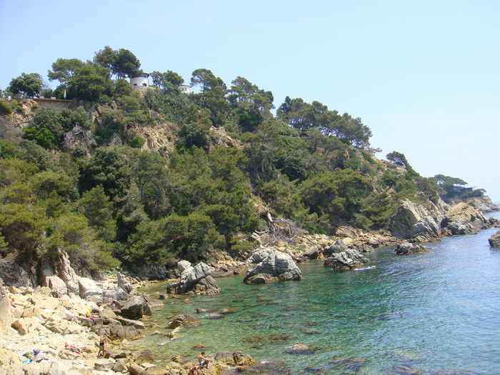 DSC09802