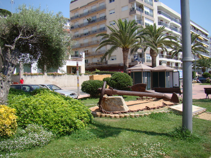 DSC05768