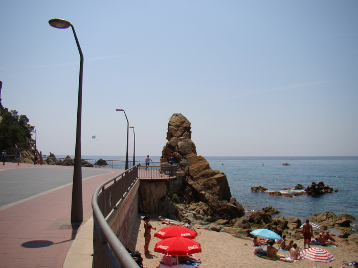 DSC05800
