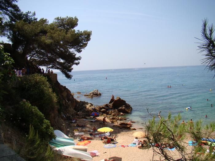 DSC05819