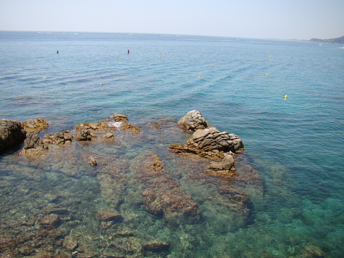 DSC05837