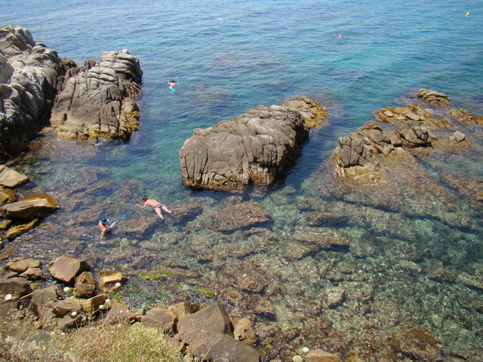 DSC05838