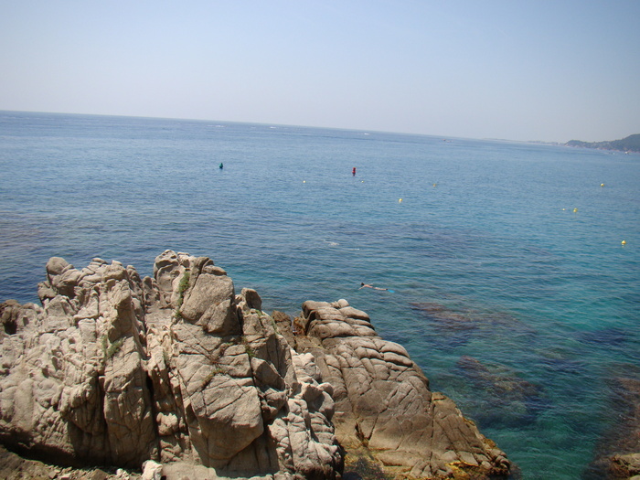 DSC05841