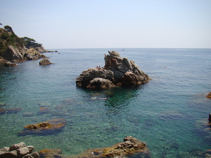 DSC05849