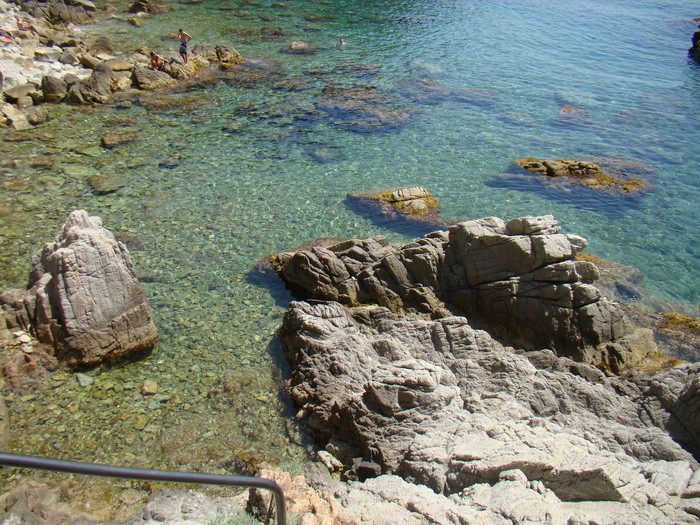 DSC05852