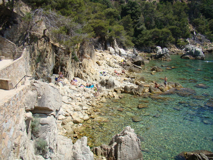 DSC05853