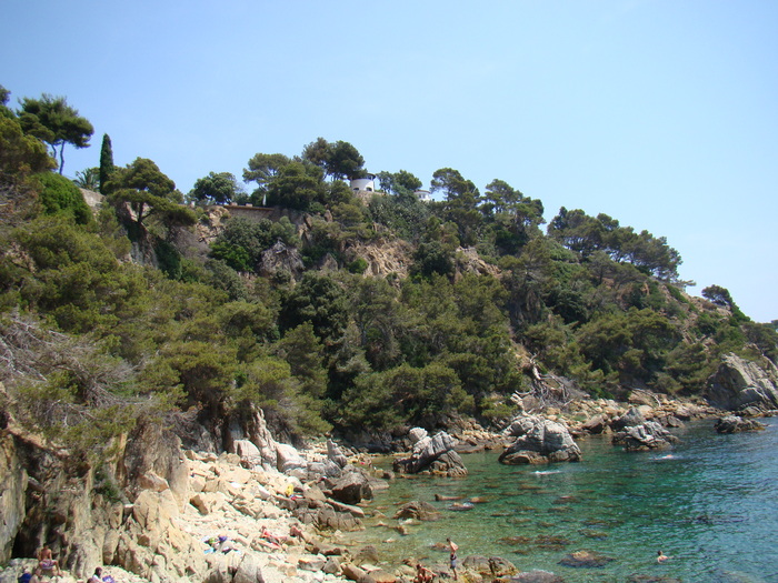 DSC05854
