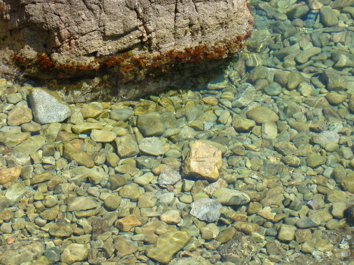 DSC05855