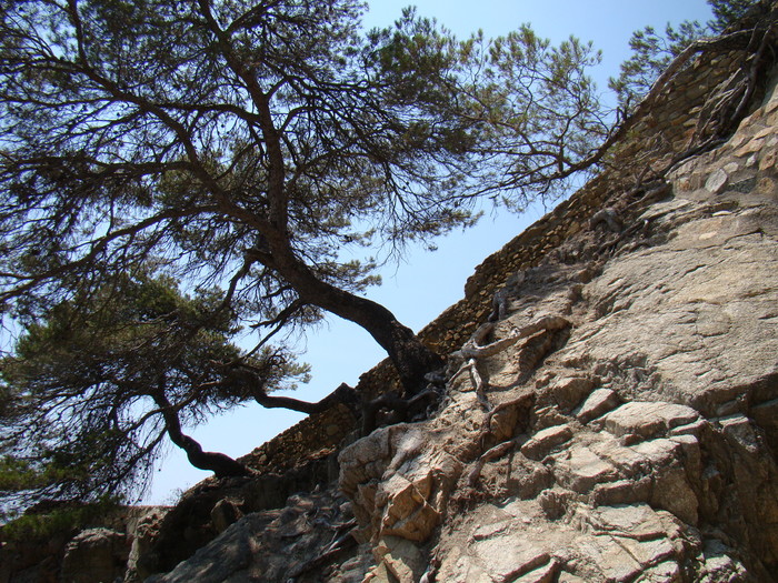 DSC05859