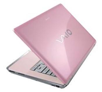 Acesta este laptopul meu.Aici va verific nr. camerei. - Culcusuri De Animale