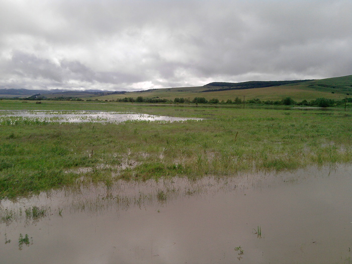 P270610_09.33 - Inundatie la Drauseni BV