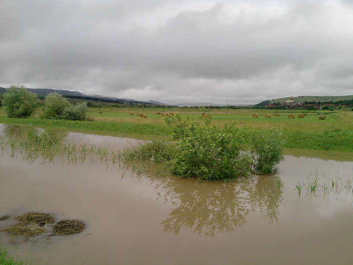 P270610_09.36_[02] - Inundatie la Drauseni BV